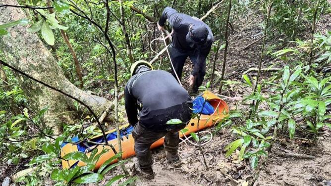 垦丁虎头蜂攻击游客 2人身亡1人需洗肾