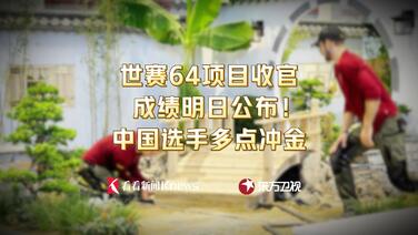 世赛64项目收官 成绩明日公布 中国选手多点冲金