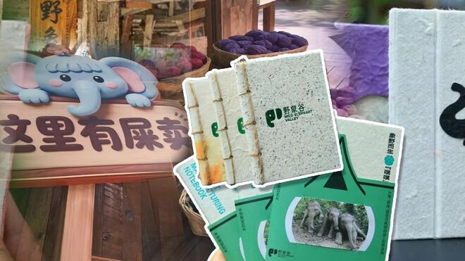 “粪”斗文创界！网红文创如何破局“复制”怪圈