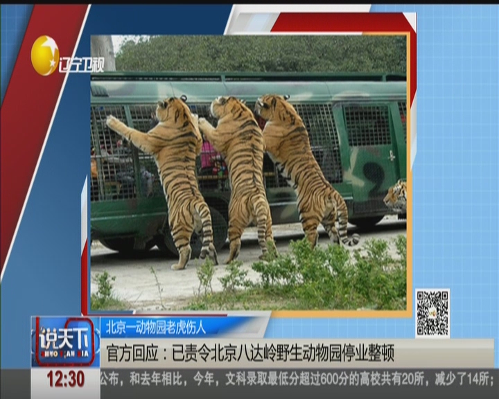 視頻北京一動物園老虎傷人兩名女遊客動物園猛獸區私自下車遭虎襲致1