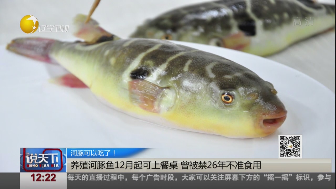 养殖河豚鱼12月起可上餐桌 曾被禁26年不准食用