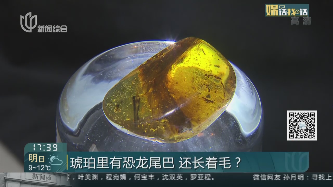 视频琥珀里有恐龙尾巴还长着毛