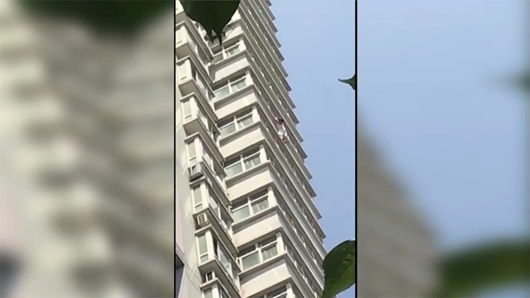 视频|女童因害怕爬出窗外 21楼"挂"半小时命悬一线