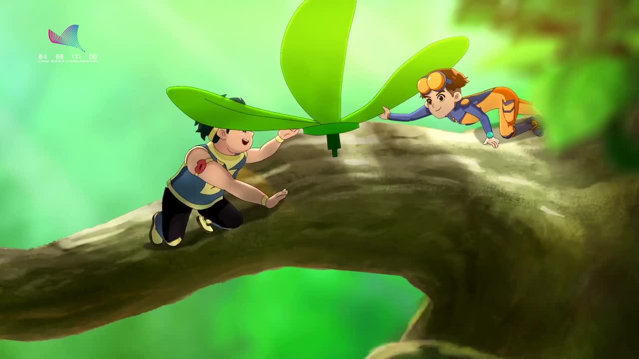 视频酷杰的科学之旅森林探险第12集蛛网历险记