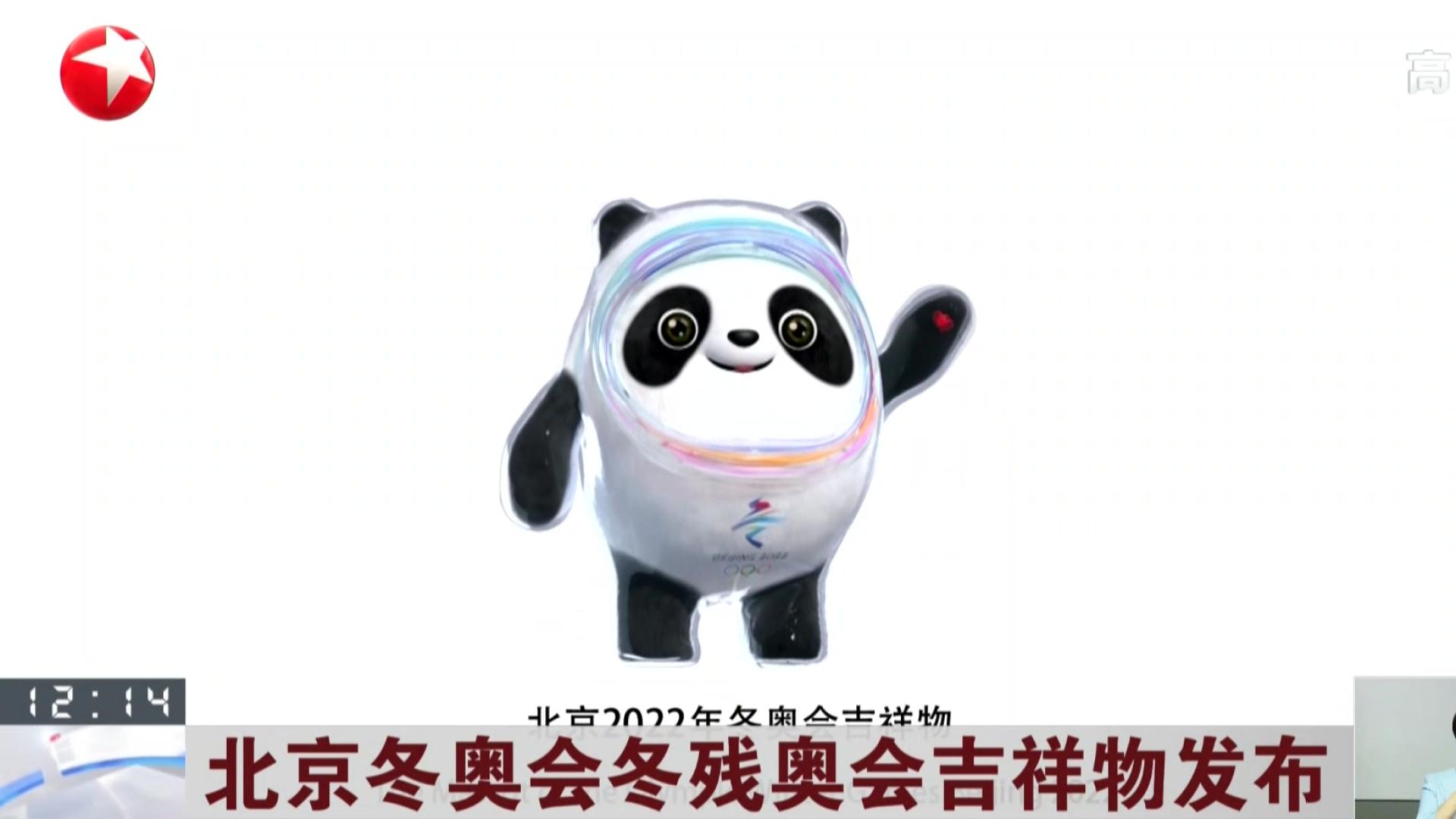 视频北京冬奥会冬残奥会吉祥物发布