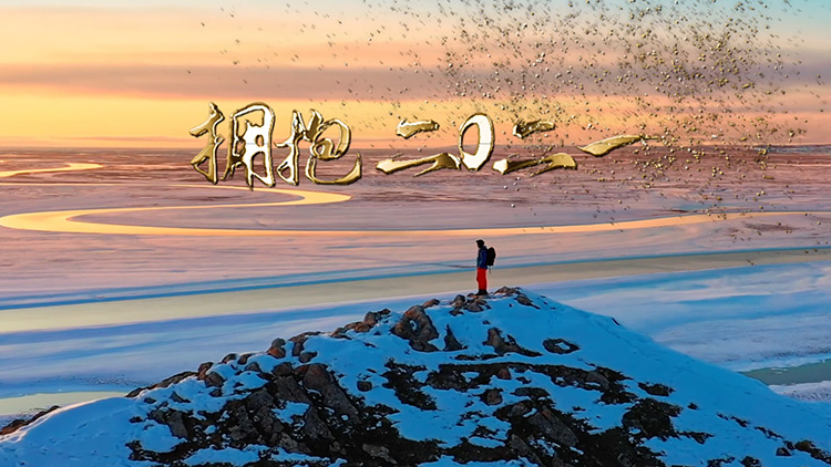 视频|告别2020,拥抱2021