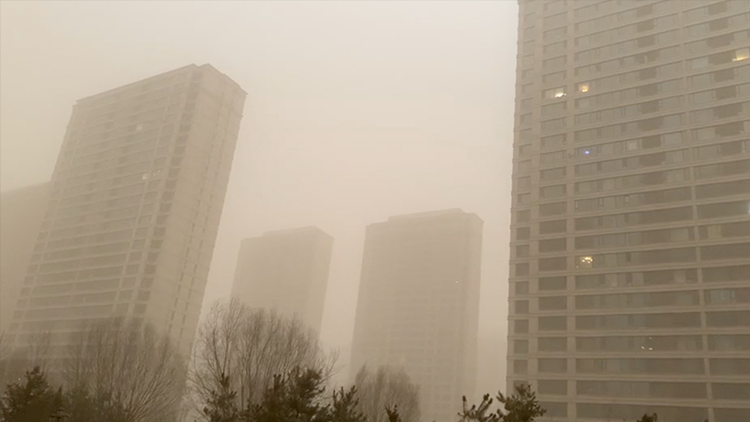 视频|近10年最强沙尘暴来袭 专家:对上海影响不大