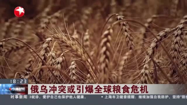 俄乌冲突或引爆全球粮食危机:乌克兰禁止粮食及化肥出口 推高小麦价格