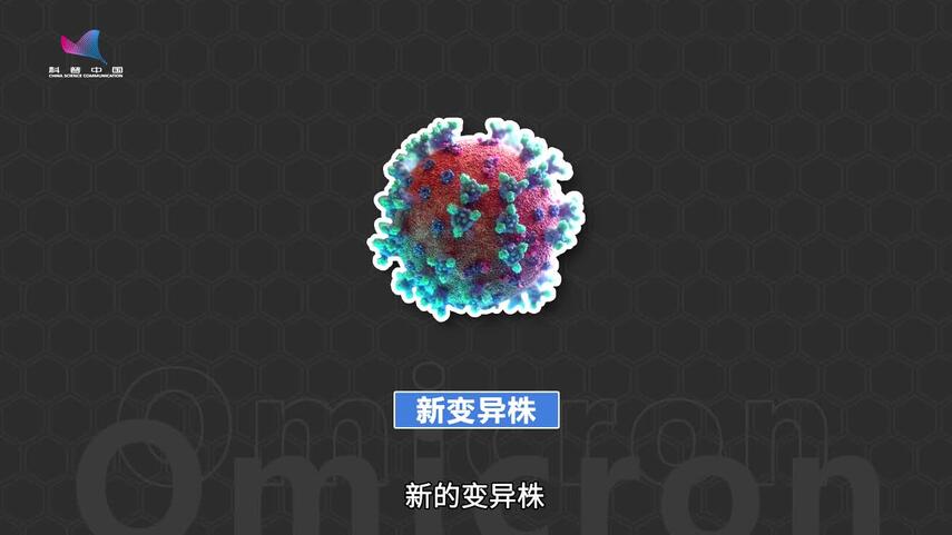 新冠病毒“奥密克戎”科普（下）——解决办法和未来预测