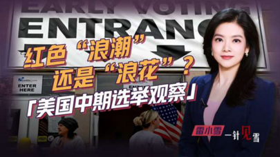红色“浪潮”还是“浪花”？美国中期选举观察