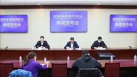 截至2020年底我国累计减少天然林采伐3.32亿立方米